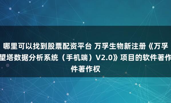 哪里可以找到股票配资平台 万孚生物新注册《万孚瞭望塔数据分析系统(手机端)V2.0》项目的软件著作权