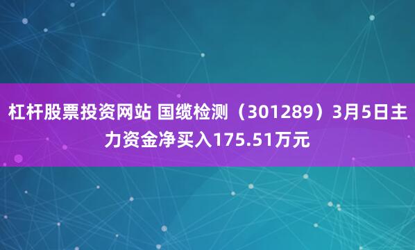 杠杆股票投资网站 国缆检测（301289）3月5日主力资金净买入175.51万元