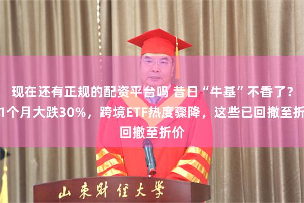 现在还有正规的配资平台吗 昔日“牛基”不香了？近1个月大跌30%，跨境ETF热度骤降，这些已回撤至折价