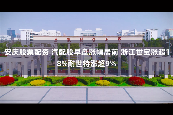 安庆股票配资 汽配股早盘涨幅居前 浙江世宝涨超18%耐世特涨超9%