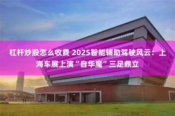 杠杆炒股怎么收费 2025智能辅助驾驶风云：上海车展上演“自华魔”三足鼎立