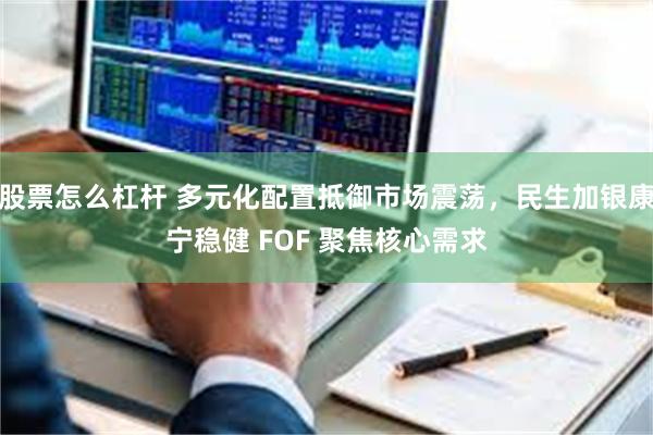股票怎么杠杆 多元化配置抵御市场震荡，民生加银康宁稳健 FOF 聚焦核心需求