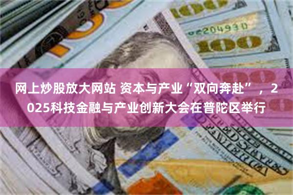 网上炒股放大网站 资本与产业“双向奔赴” ，2025科技金融与产业创新大会在普陀区举行