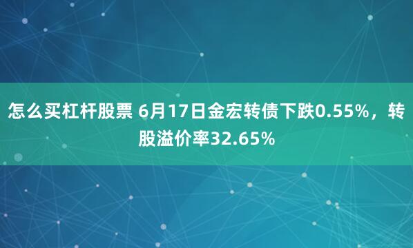怎么买杠杆股票 6月17日金宏转债下跌0.55%，转股溢价率32.65%