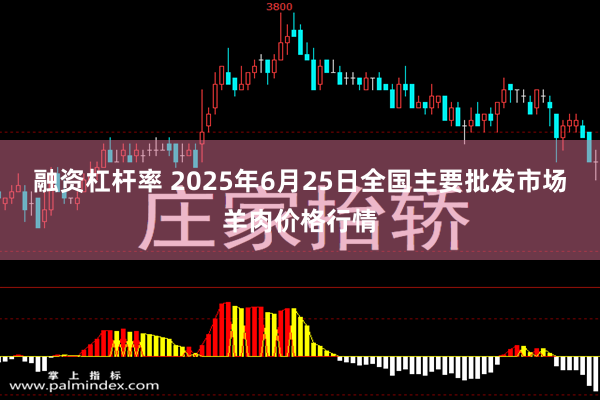 融资杠杆率 2025年6月25日全国主要批发市场羊肉价格行情