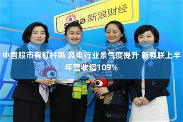 中国股市有杠杆吗 风电行业景气度提升 新强联上半年营收增109%