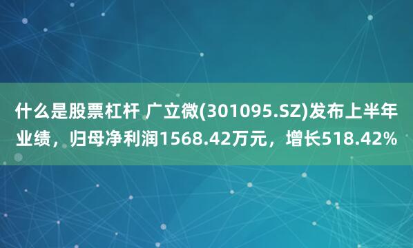 什么是股票杠杆 广立微(301095.SZ)发布上半年业绩，归母净利润1568.42万元，增长518.42%