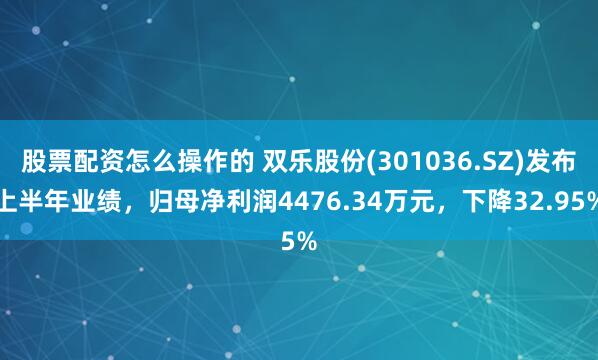 股票配资怎么操作的 双乐股份(301036.SZ)发布上半年业绩，归母净利润4476.34万元，下降32.95%