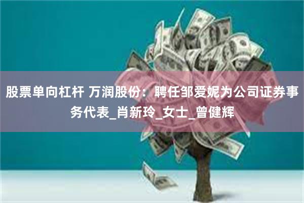 股票单向杠杆 万润股份：聘任邹爱妮为公司证券事务代表_肖新玲_女士_曾健辉