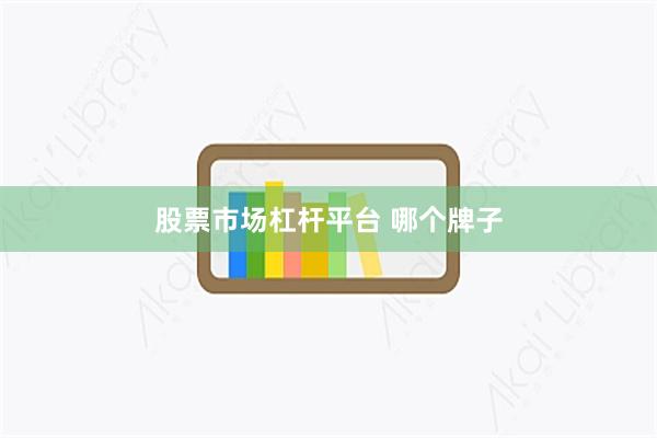 股票市场杠杆平台 哪个牌子