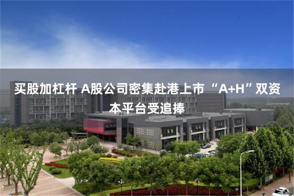 买股加杠杆 A股公司密集赴港上市 “A+H”双资本平台受追捧